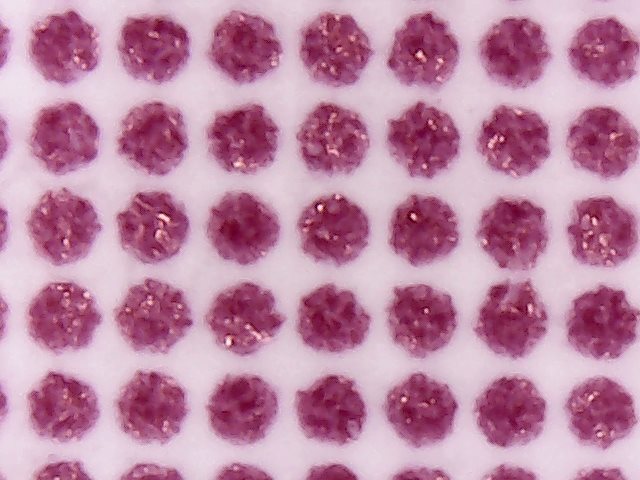 Micrograph of magenta halftone dots from a System Brunner control strip, used to measure 14% and 8% dot gain on a 50% patch in offset printing.
