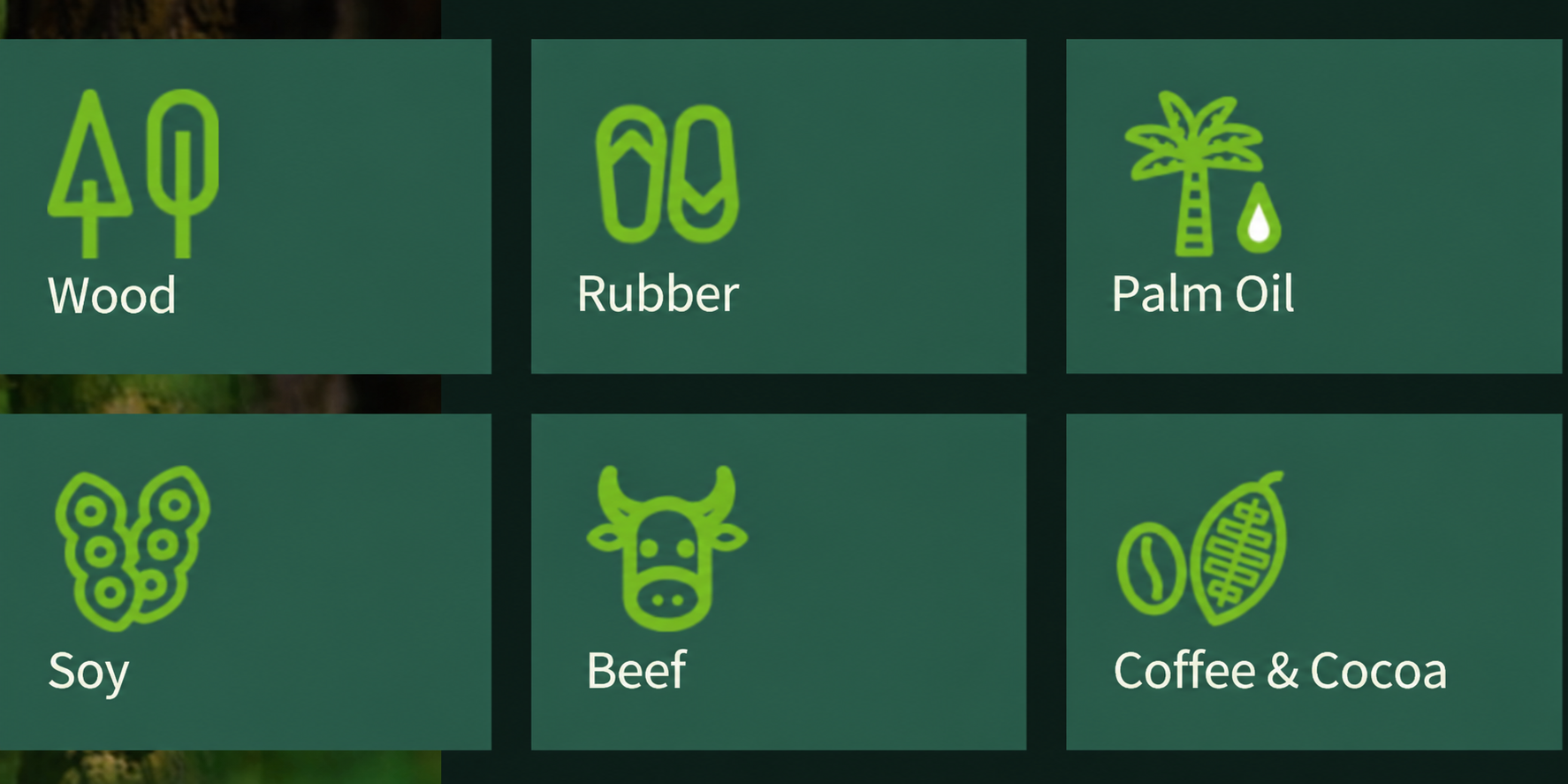 eudr.png