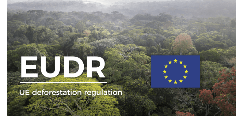 Must-read for EU Exporters! Everything You Need to Know About the EUDR(EU Deforestation-free Products Regulation)